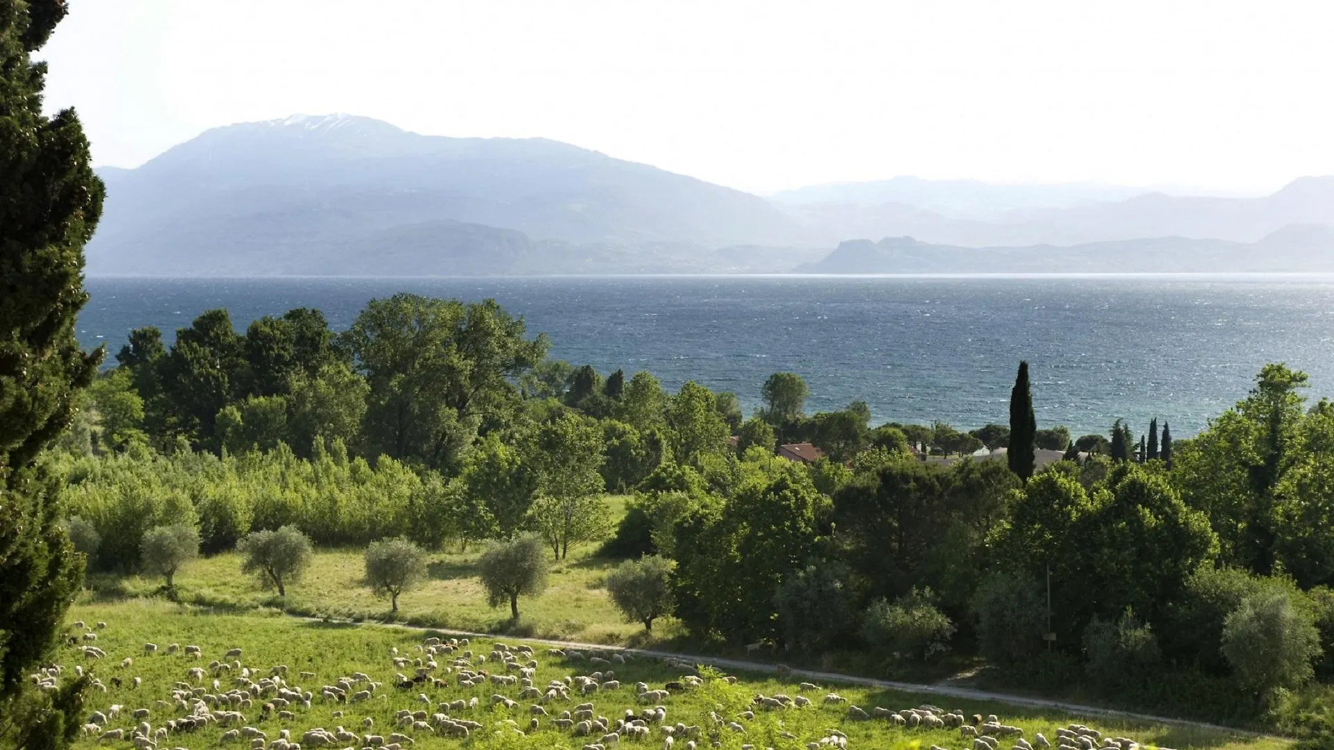 Residence Castello Belvedere Ντεζεντσάνο ντελ Γκάρντα